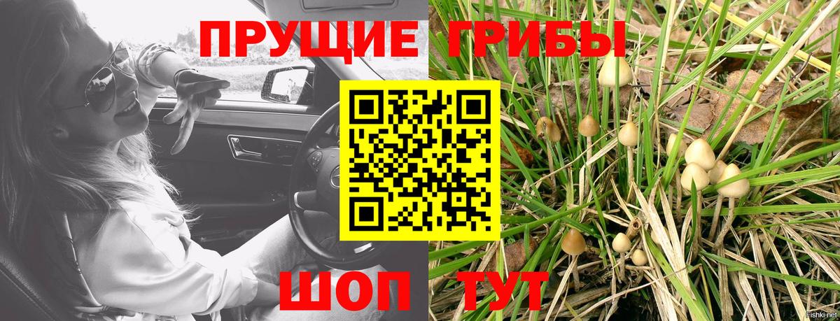 Арсеньев  Галлюциногенные грибы мицелий  Вход с VPN 